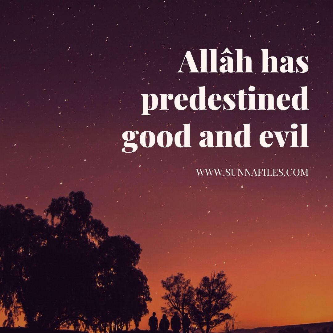 Allâh has predestined good and evil | Sunna Files Website, image size:1080x1080