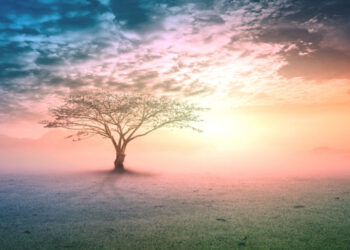 creation of prophet adam